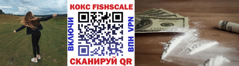 Кокаин Fish Scale  цена наркотик  Клин 