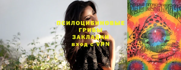 мет Алзамай